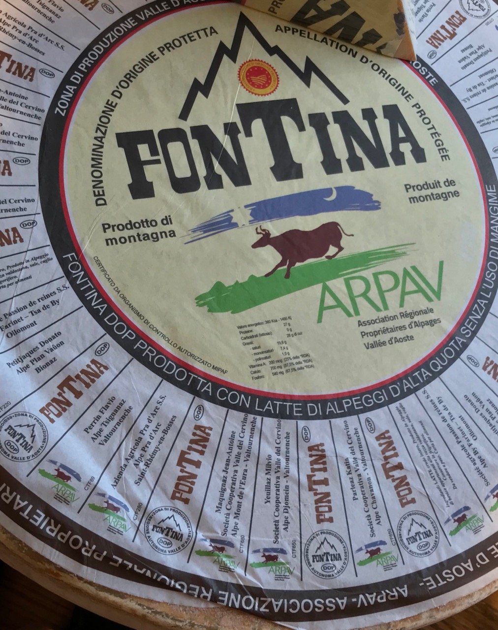 fontina